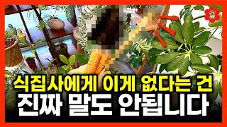 "곧 여름인데 이게 없으면 안되죠", 다가올 여름 전에 꼭 준비해야 하는 이것ㅣ더워지면 식물을 위해 꼭 해야…