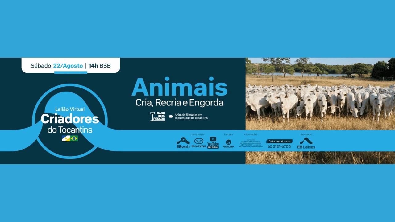 LEILÃO VIRTUAL CRIADORES DO TOCANTINS | 22/08/2026 – 14H