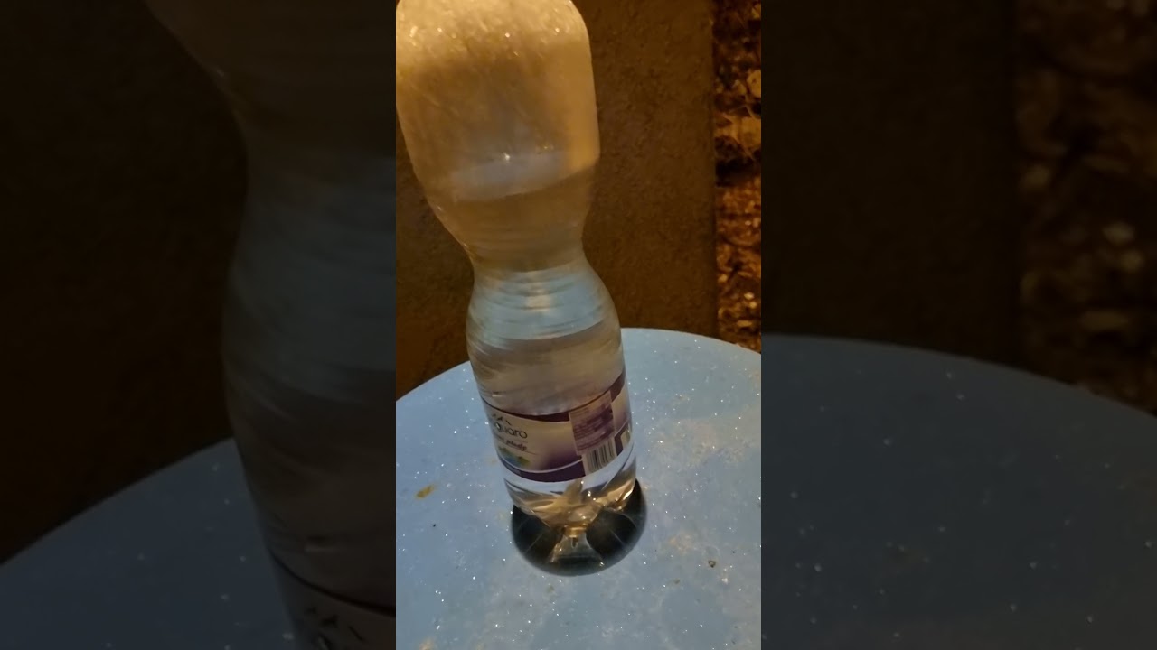 apa plata la sticla nu înghea??
