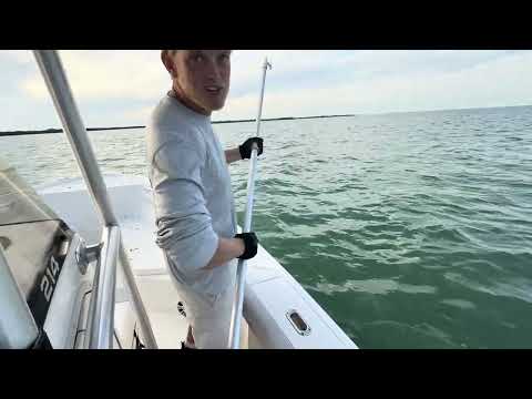 Pulling stone crab traps! (MISSION FAILED)