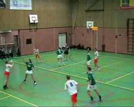 Weidevogels 1 - Tjoba 1