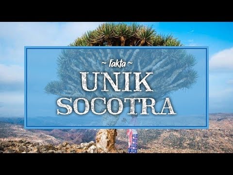 35 Fakta Unik Ekuador, Satu-satunya Negara di Dunia yang Dinamai Berdasarkan Fitur Geografisnya