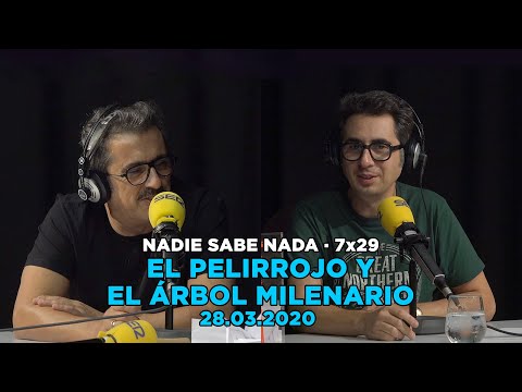 NADIE SABE NADA 7x29 | El pelirrojo y el árbol milenario