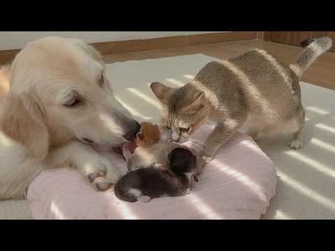 YouTube 썸네일