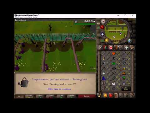 OSRS HCIM - Night Wyvern - 99 Farming