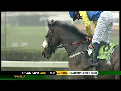 2020.11.14 Grande Steeple Chase Di Milano (ITA) - Northerly Wind