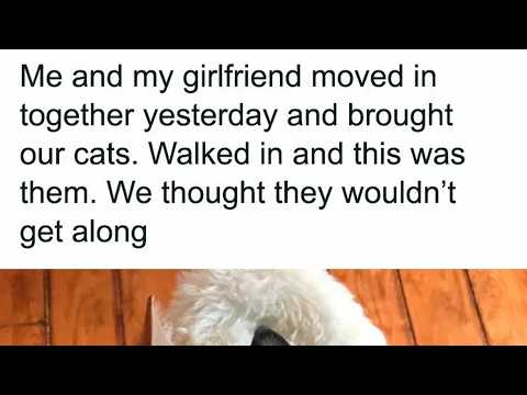 Delightfulhugs