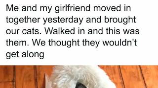 The Most Wholesome Posts That Will Brighten Your Day