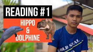 Do You Know These Interesting Facts about Dolphins and Hippo?