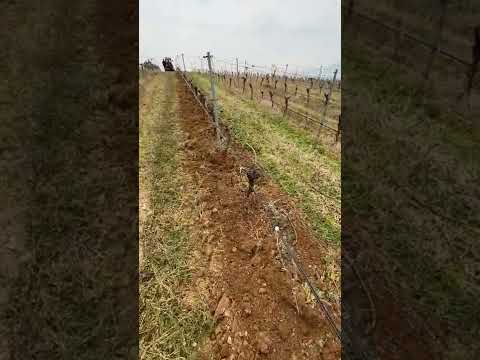 Kadıoğlu EKO Duyargalı Çapa Makinesi Bıçak Ataşmanı Manisa Bağ Çalışması