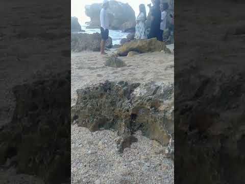 Evan Loss. judul lagu IKAN LAUT//proses syuting