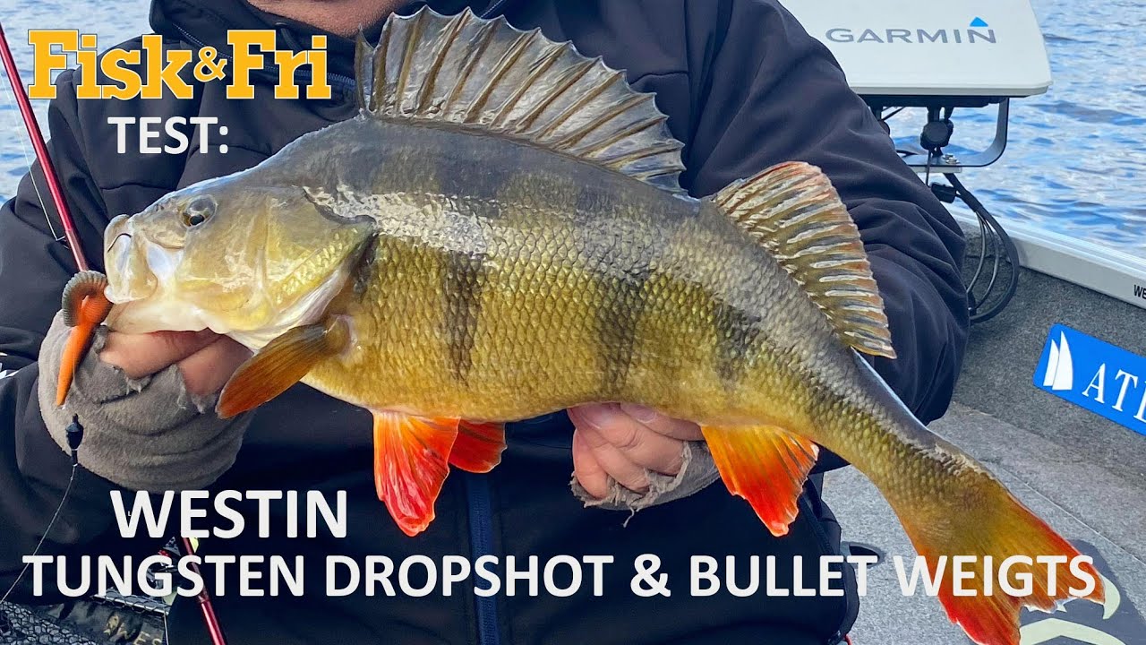 NY VIDEO: FISK & FRI TESTER WESTINS DROPSHOT OG BULLET WEIGHTS
