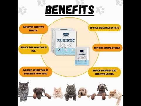 Pre And Pro-biotic Sachet for pets-Aniamor- Lactobacillus And Streptococcus Strains-20x1g