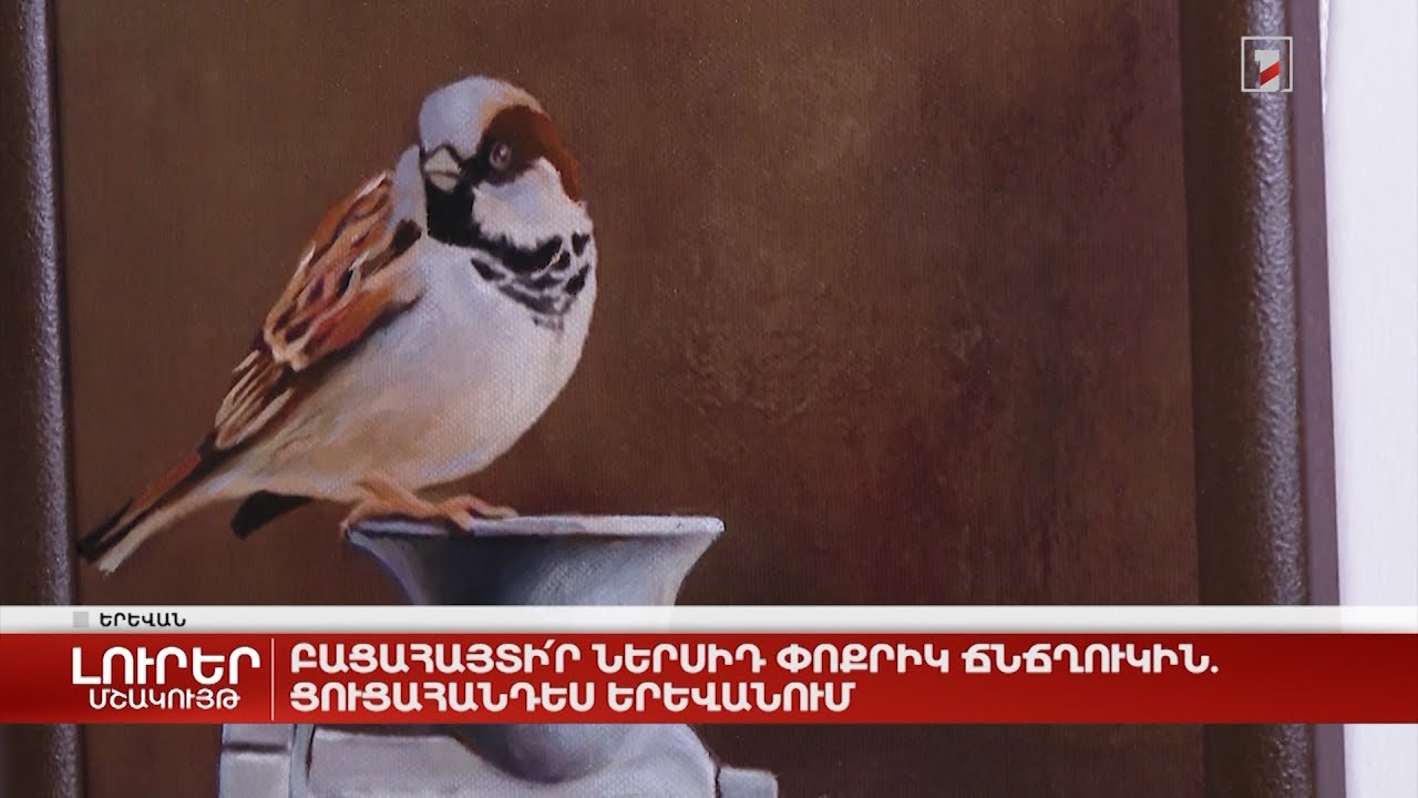 Բացահայտի՛ր ներսիդ փոքրիկ ճնճղուկին. ցուցահանդես Երևանում