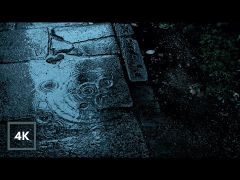 Gentle Rain & Wind Chimes | Real Rain & Wind Chimes for Sleeping & Relaxation