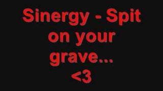 Sinergy - spit on your grave