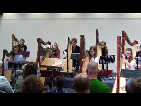 Harpo's spelen Seven Nation Army