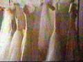 5 24 2002 CBS Daytime Commercials Part 4 9