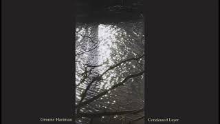 Géonne Hartman - Condensed Layer (2026) video