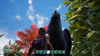 How to get Crow Feathers in Grounded - What are Crow Feathers Used For?