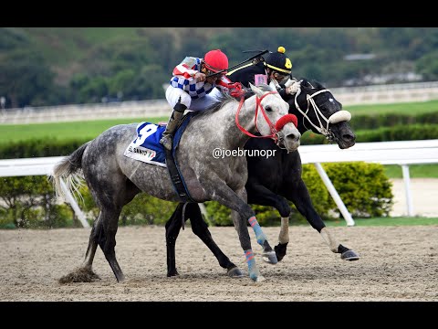 EL DE FROIX (Ven) - Copa Confraternidad 2022