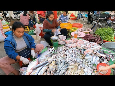 Cambodian Food Market Tour - Daily People Lifestyle & Plenty of Fresh Food For Buying & Selling