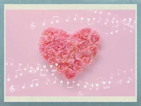聖徳大学音楽学部CM1「音楽を諦めない」