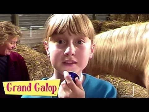 Grand Galop 115 - La Naissance d'un poulain | HD | Épisode Complet