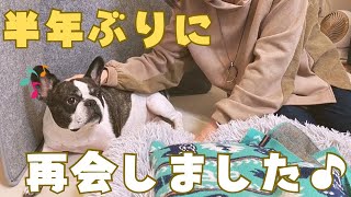 久しぶりにお客さんが来て大興奮の愛犬😂