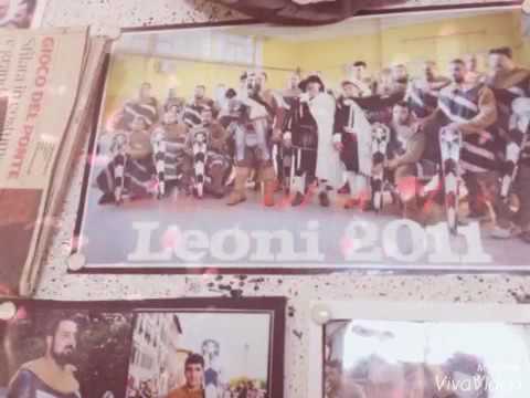 I leoni palla Leonardo