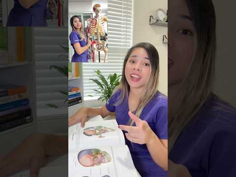 Human skeleton rap 🩻 #medicalstudents #university #content #vlog #humor