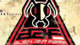 Dryden Mitchell (Alien Ant Farm) - Its Friday, Im In Love
