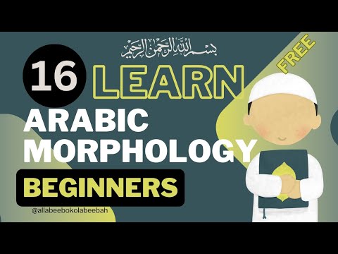 CLASS 16 |  تقسيم الفعل إلى ماض ومضارع وأمر | Mapping Arabic Morphology - الصرف Beginners Guide
