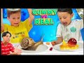 REUPLOAD GUMMY Vs REAL 2021 Shawn Vs Chase Face Off DOH MUCH FUN Chase S Corner Shawn S Circle
