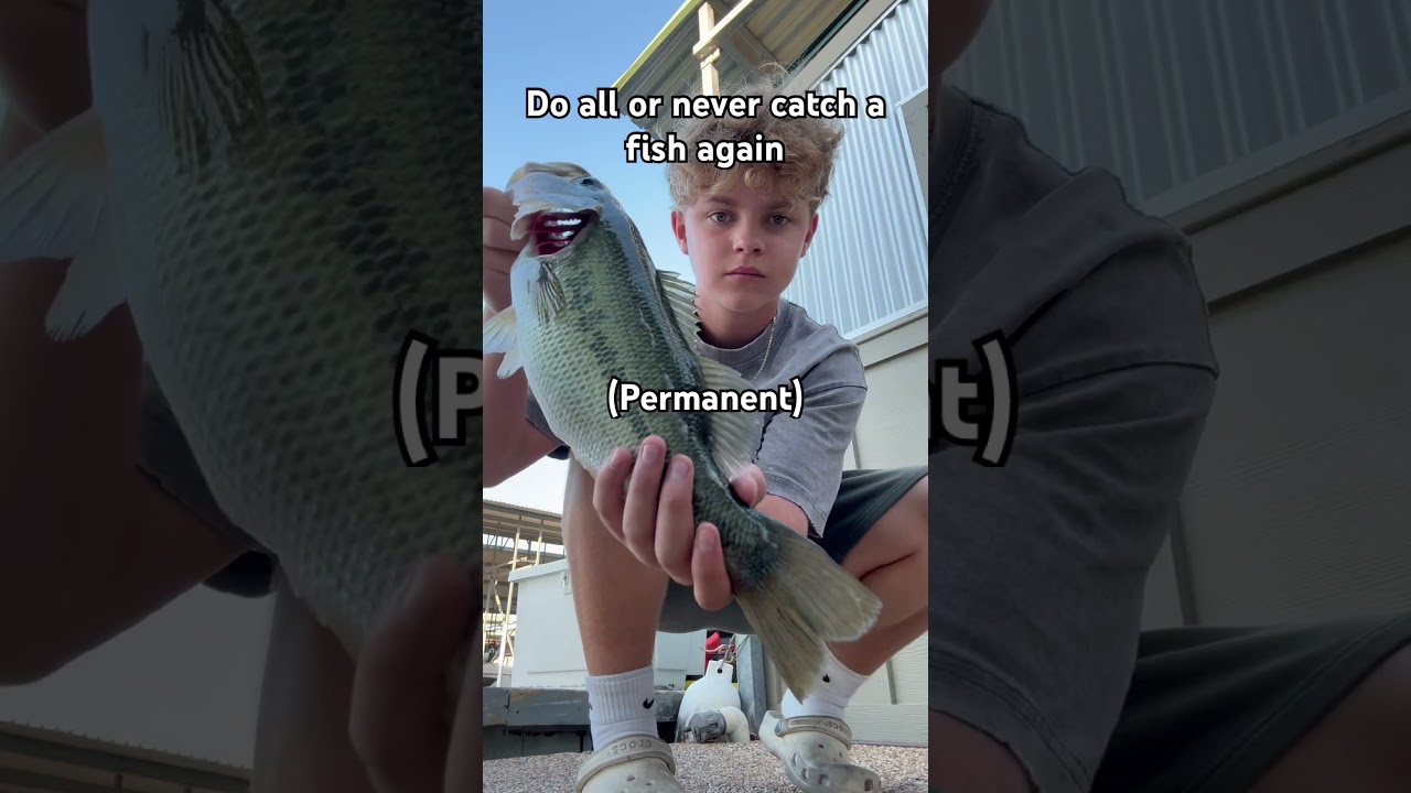 Big bass! #fishing #bigfishvideos