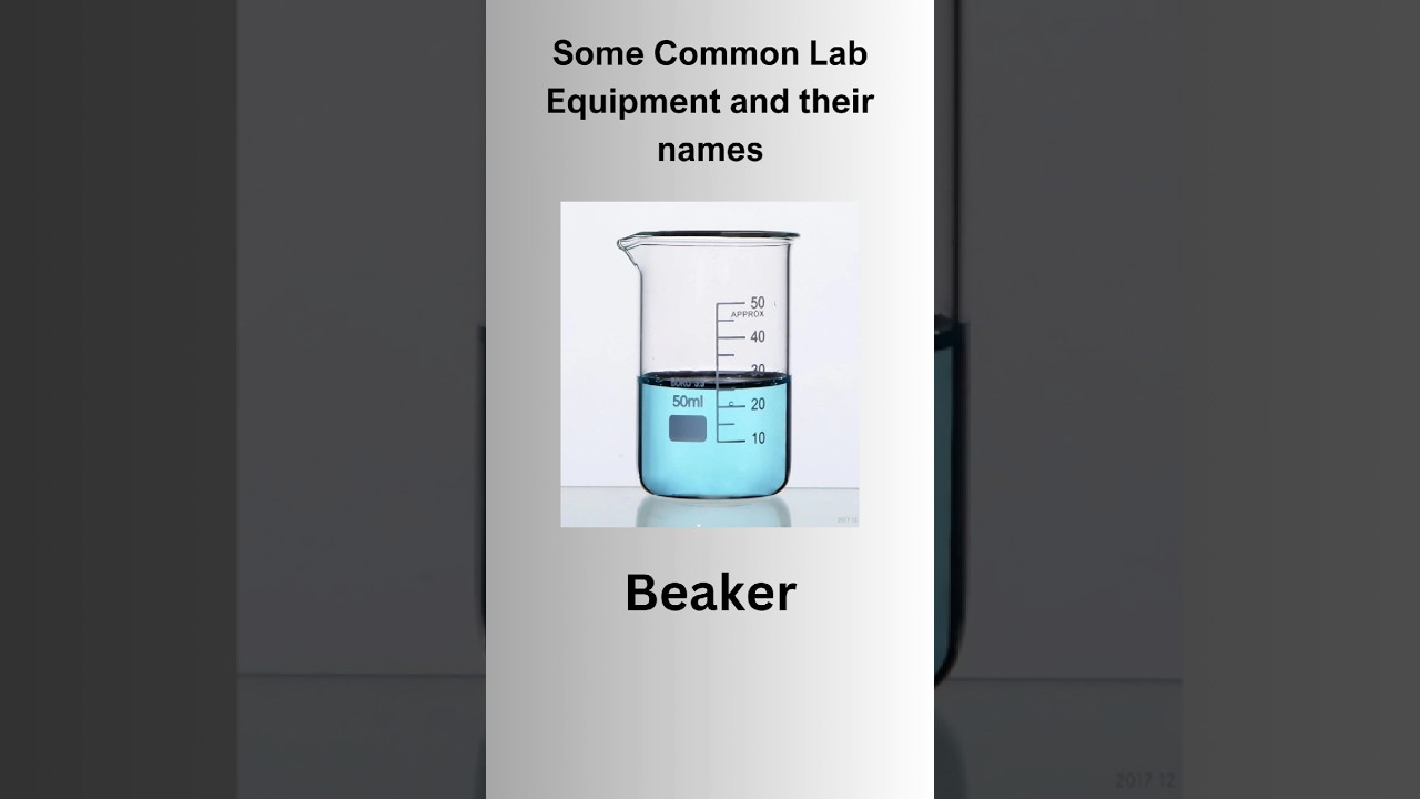 Common Lab Equipments #labequipment #laboratory #sciencelab