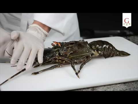 ¿Cómo cortar y cocinar una langosta? 🦞 Tutorial sencillo para principiantes