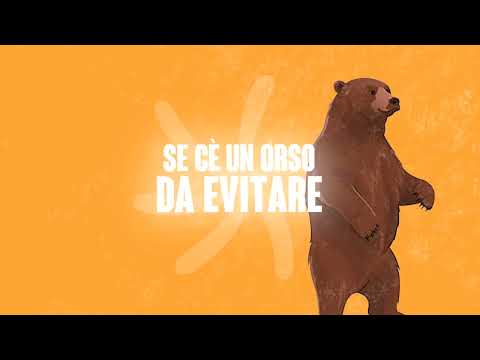 video frame placeholder