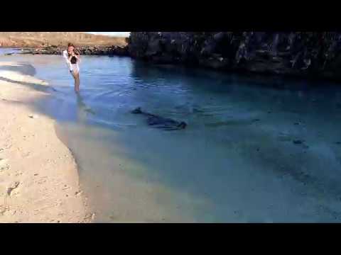 Cruise video 2