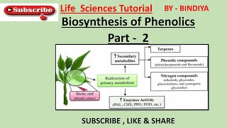 Secondary Metabolites || Biosynthesis of Phenolics || Easy Language || Important Topic For CSIR