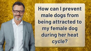 How can I prevent male dogs from being attracted to my female dog during her heat cycle?