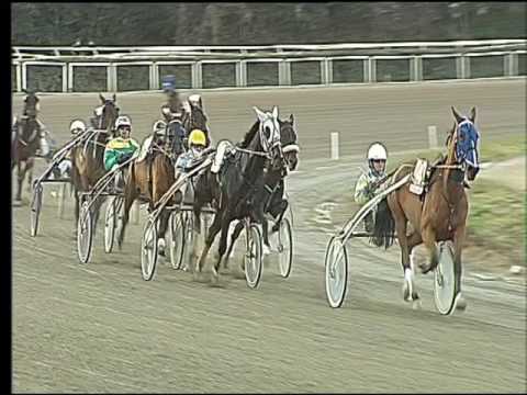 Trotto 19/02/2017 - 6ª corsa