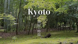 地蔵院 竹寺 京都の竹林に包まれる閑寂の時間 Kyoto Takenotera Jizo-in Temple.Serene moments embraced by a bamboo forest