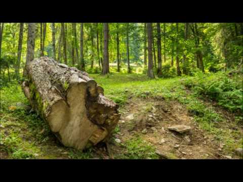 Pattraxx vs. Marc De Pulse - Love and Pain (Chapter XJ Remix)