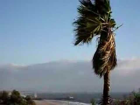 Santa Monica, 12/08/2007, Windy, Bird (1)