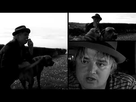 Peter Doherty & Frédéric Lo - The Ballad Of (Official Video)