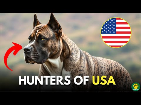 10 Most BADASS American Hunting Dog Breeds!