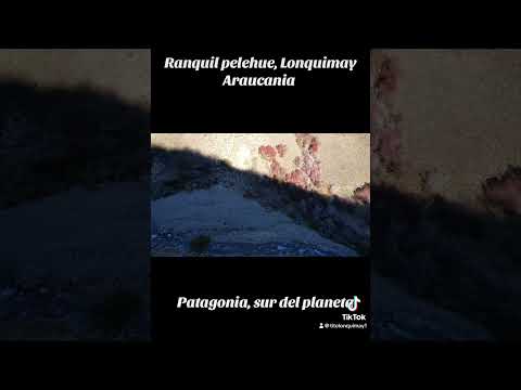 Pelehue cordillera de Lonquimay, Araucanía, Patagonia, sur del planeta 