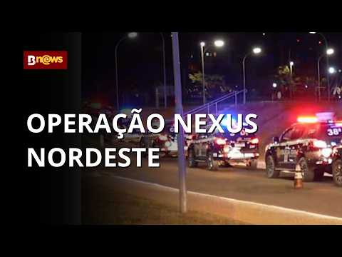 COMBATE AO TRÁFICO: mais de 200 MIL pés de maconha são queimados em operação policial