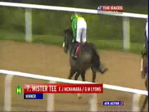 喜蓮智星Mister Tee-STAR APPEAL S. - 2 歲表列